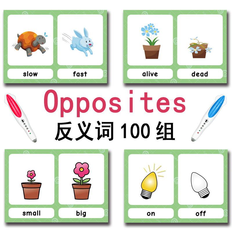 แฟลชการ์ดคำศัพท์ภาษาอังกฤษ 100 - Kids Education And You บทวิจารณ์และราคา