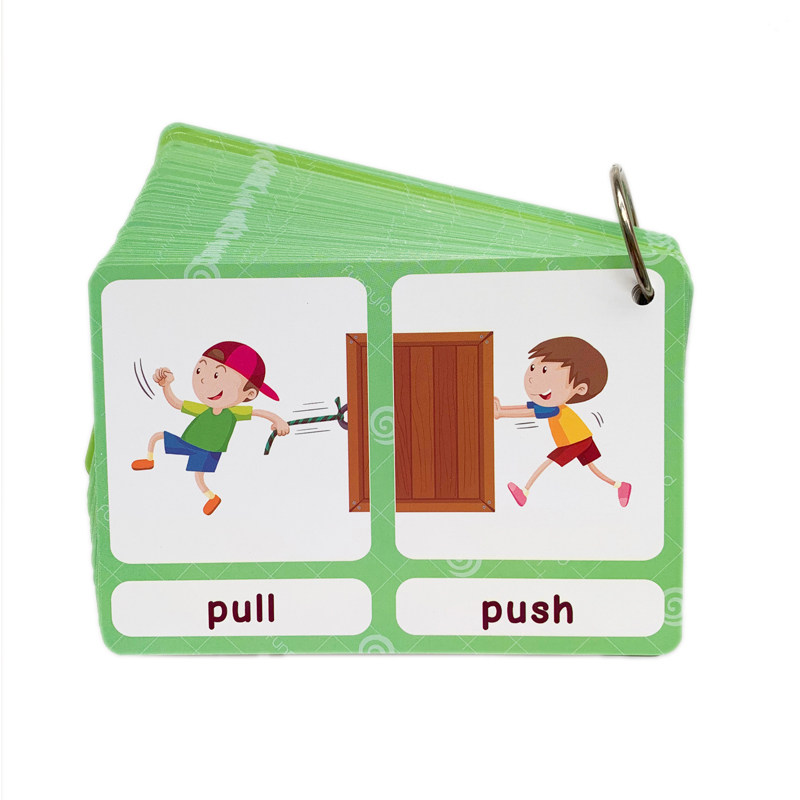 แฟลชการ์ดคำศัพท์ภาษาอังกฤษ 100 - Kids Education And You บทวิจารณ์และราคา