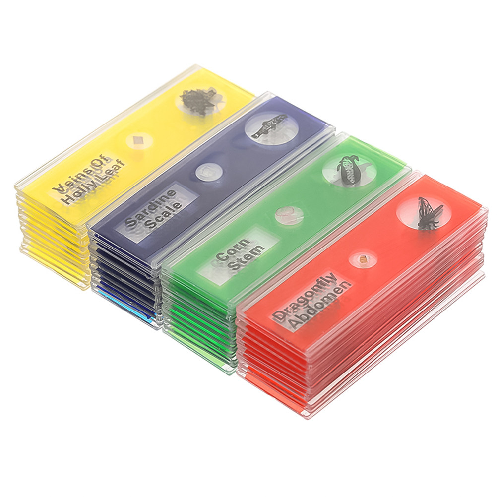 ชุดสไลด์ไมโครสโคปชีวภาพพลาสติก - Kids Education Name บทวิจารณ์และราคา
