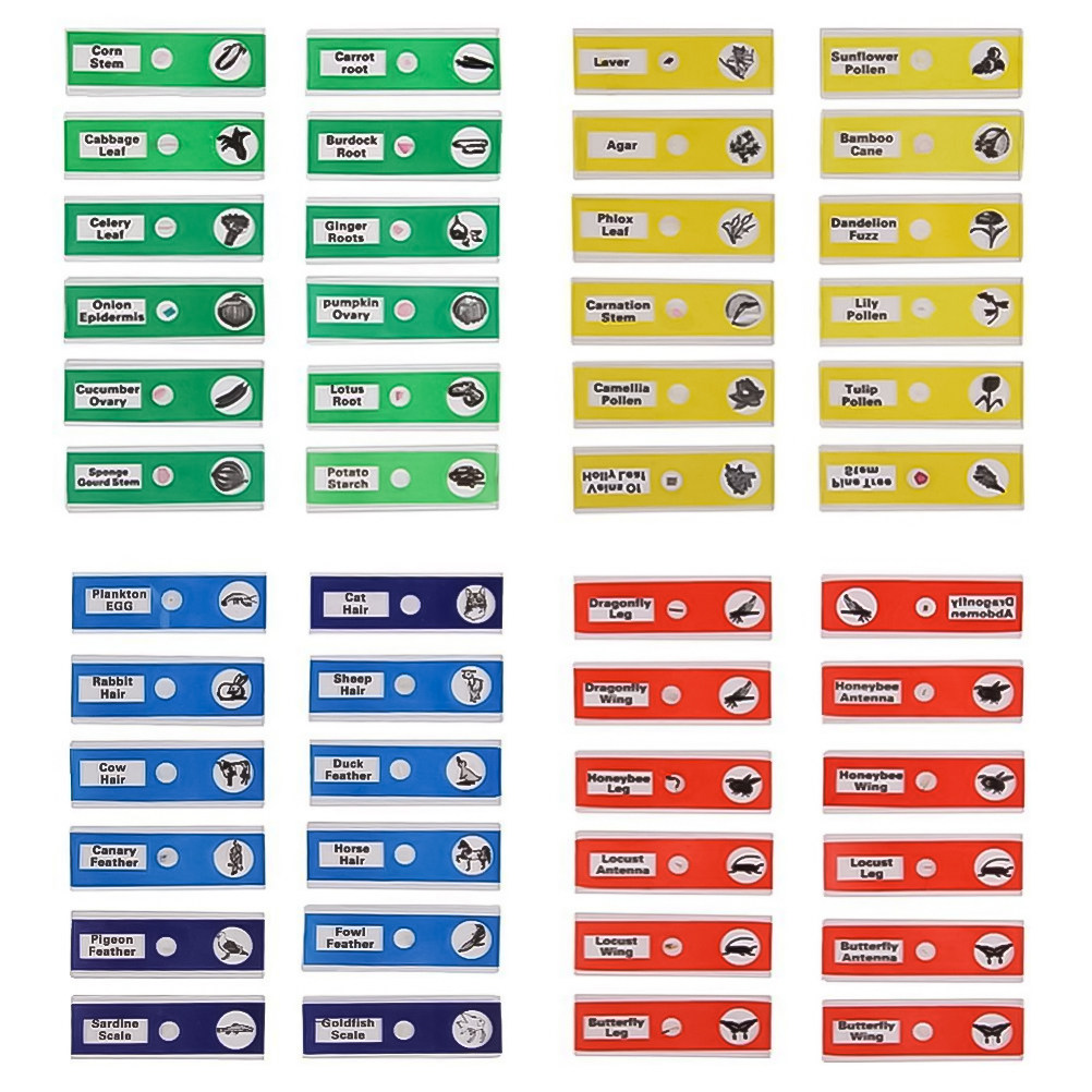 ชุดสไลด์ไมโครสโคปชีวภาพพลาสติก - Kids Education Name บทวิจารณ์และราคา