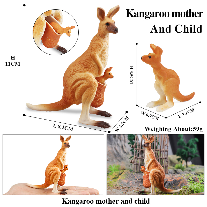 อีนุกซ์คลาสสิกสไตล์ออสเตรเลียร - Kangaroo Kids Education บทวิจารณ์และราคา