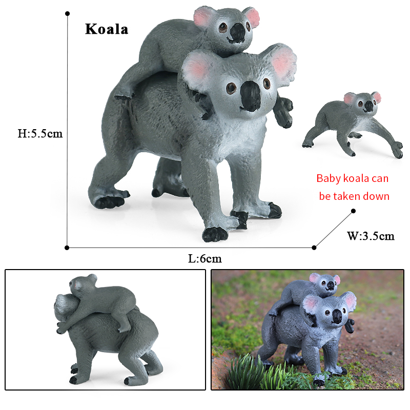 อีนุกซ์คลาสสิกสไตล์ออสเตรเลียร - Kangaroo Kids Education บทวิจารณ์และราคา