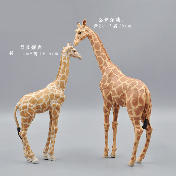 จำลองสัตว์ Toy สัตว์ป่ารูป Tig - Kangaroo Kids Education บทวิจารณ์และราคา