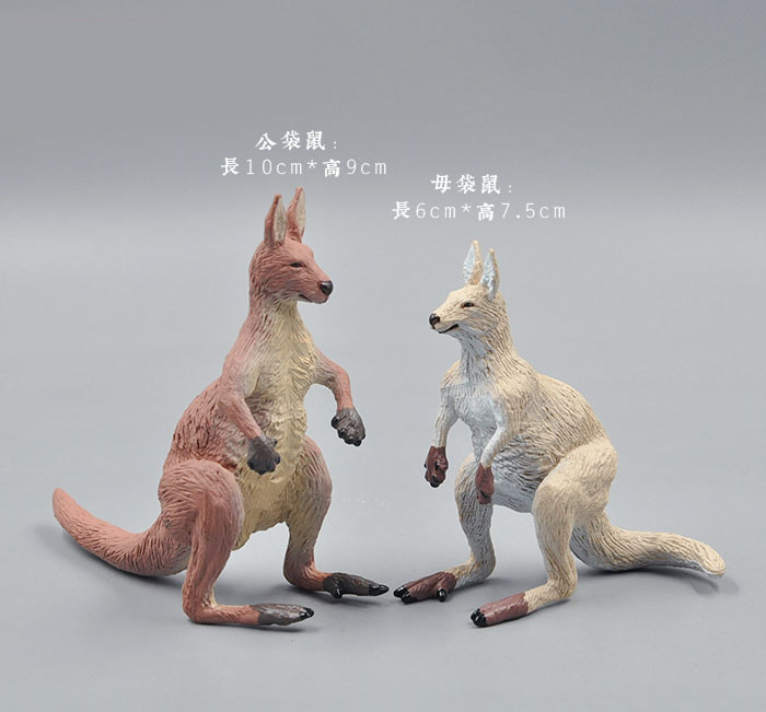 จำลองสัตว์ Toy สัตว์ป่ารูป Tig - Kangaroo Kids Education บทวิจารณ์และราคา
