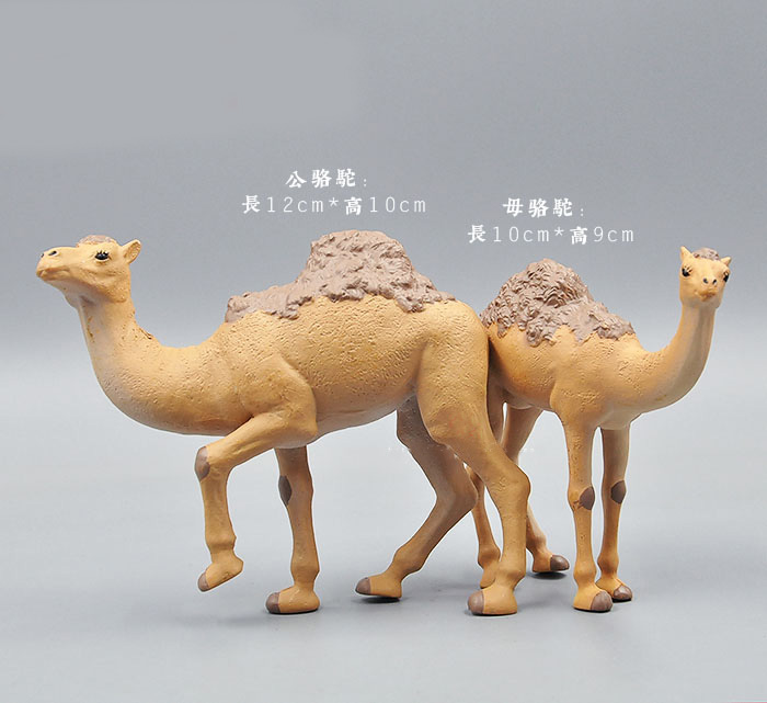 จำลองสัตว์ Toy สัตว์ป่ารูป Tig - Kangaroo Kids Education บทวิจารณ์และราคา