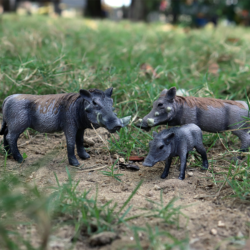 โอเอ็นุกซ์ หมูป่า ไทปีรัส อินด - Kids Without Education บทวิจารณ์และราคา